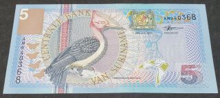 Suriname 5 Vijf Gulden 2000 Banknote Note Unc Uncirculated Van Surinam Bird