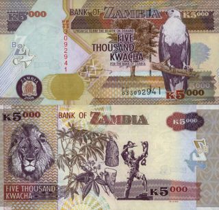 Zambia 5000 Kwacha (2008) - Majestic Lion/p45d Unc