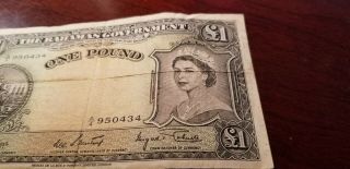 BAHAMAS - 1953 1 Pound Note Queen Elizabeth ll 2