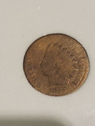 1877 Indian Head Cent Penny,  Coveted Low Mintage Key Date