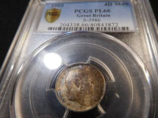 Y143 Great Britain 1905 Maundy 4 Pence Pcgs Proof - Like - 66