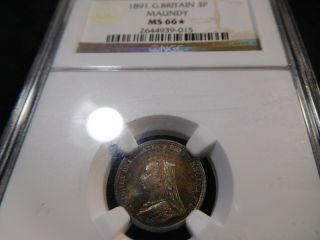 Y130 Great Britain 1891 Maundy 3 Pence Ngc Ms - 66 Star Toning