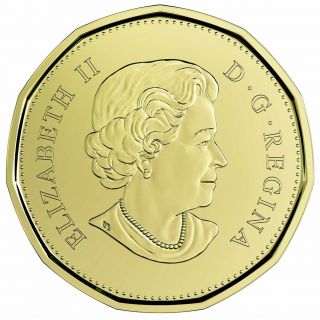 2019 Canada $1 Equality BU Loonie From Special Wrap Roll Coin 2