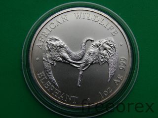 Zambia 2002 5000 Kwacha Elephant 1 Oz Silver