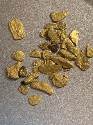 Lovely Group 1.  153 Gram Natural Gold Nugget Collector Specimen Colorado
