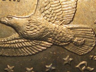 Error: 2000 - P Sacagawea Dollar Wounded Eagle/speared Eagle Variety Error Coin 2