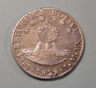 1829 Jm Bolivia 8 Soles Silver World Coin Boliviana Alpaca South America Sol