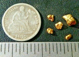 Natural Arizona Gold Nuggets 1.  0 Grams Total 22k Az578