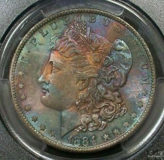 1884 - O Silver Morgan Dollar Bu Pcgs Ms65 " Cac " Exquisite Toned Gem With Luster