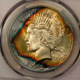 1923 Peace Silver Dollar Pcgs Ms63 Vibrant Rainbow Toning