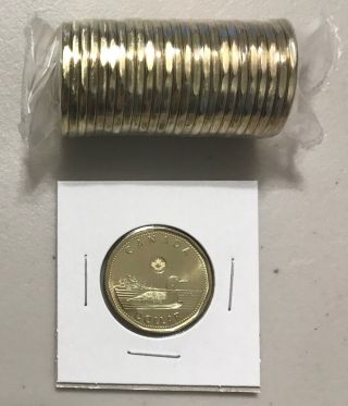 Canada 2018 $1 Loonie Common Loon (unc Directly From Roll)