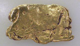 Gold Nugget Alaskan.  929 Grams Natural Placer Slate Creek High Purity