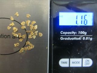 Yukon Gold Nuggets 1.  16 Grams.