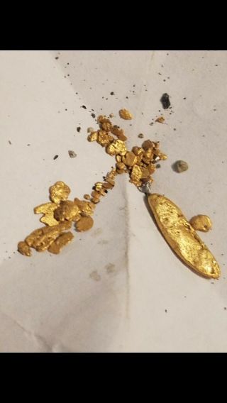 1.  0,  Gram Gold Nuggets And Pickers Found In Southern Oregon 2019