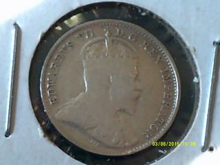 A31 Canada Newfoundland 1908 5 Cents Au Trends 175 Cad In 90