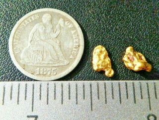 Gold Nuggets Natural Arizona Gold Nuggets.  9 Grams 22k Az607