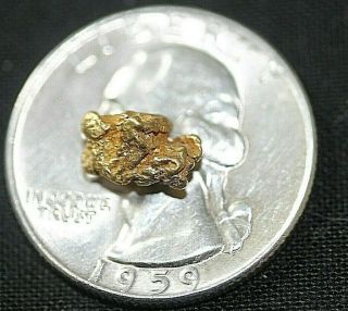 Gold Nugget,  1.  16 Grams,  Alaska Placer 1 4,  20.  5k To 22k Purity,  Bright,  Shiny
