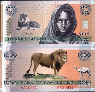 Somaliland 2006,  1000 Shillings,  Lion,  Banknote Unc