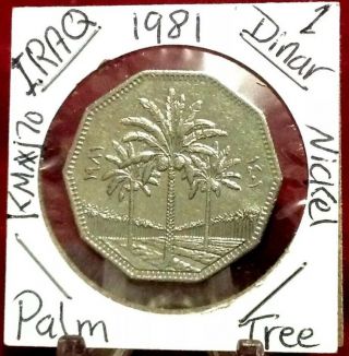 Iraq 1 Dinar,  1981 Palm Tree Nickel Coin,  Saddam Hussein Era.  Km 170.  العراق