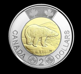 2019 Canada Polar Bear Toonie,  $2 Unc.  From Roll