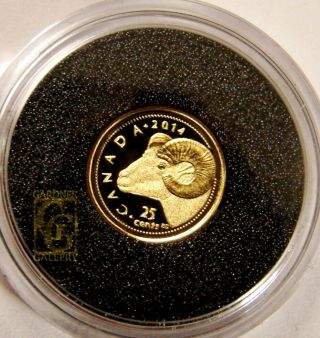 Canada 2014 Rocky Mountain Bighorn Sheep 0.  5gm Gold Coin W/box & Limited Ed.
