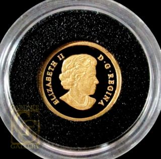 Canada 2014 Rocky Mountain BIGHORN SHEEP 0.  5gm GOLD Coin w/Box & LIMITED Ed. 2