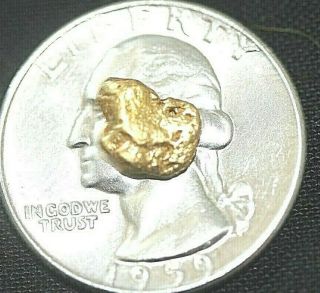 Gold Nugget, .  93 Grams,  Alaska Placer 1 4,  20.  5k To 22k Purity,  Bright,  Shiny