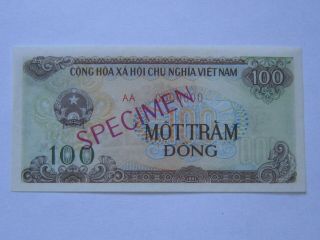 Vietnam Specimen 100 Dong 1991 Unc