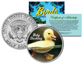Baby Duckling Collectible Birds Jfk Kennedy Half Dollar Us Colorized Coin Duck