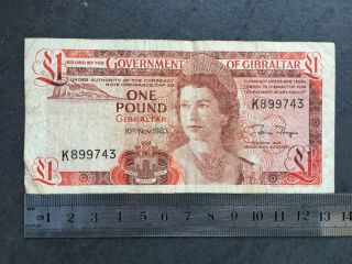 Gibraltar 1 Pound 10.  11.  1983 P 20c.  - Vf,  All There