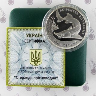 Ukraine,  10 Hryven,  Sterlet,  Flora And Fauna Of Ukraine,  2012,  Silver,  Box