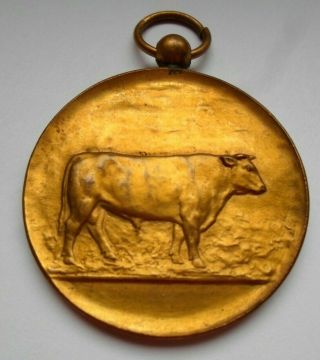 1907 Belgian Bull Farming Cattle Livestock Breeder Award Medal