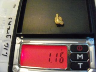 Gold Nuggets From Northern Ca 22k - 23k 1 Nugget 1.  16 Grams (eee)