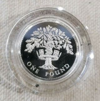 United Kingdom GB Silver Proof Piedfort 1987 One Pound Coin & Case 3