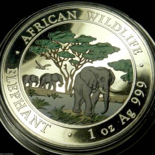 2012 Somalian Elephant Colorized African Wildlife 1 Oz Silver - Not Perfect Coin