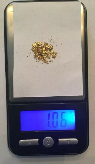 Alaskan Gold Nuggets 1.  06 Grams 20 - 22k