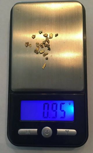 Alaskan Chunky Gold Nuggets 0.  95 Grams 20 - 22k
