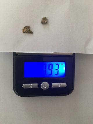 Alaskan Gold Nuggets 0.  93 Grams 20 - 22k
