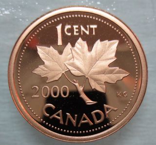 2000 Canada 1 Cent Heavy Cameo Proof Penny Heavy Cameo Coin