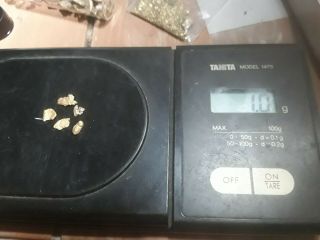 Gold 1 Gram Natural Gold Nuggets From Colorado Looky Here