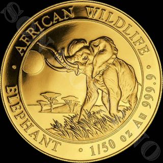 2016 Somalia Gold Elephant - 1/50 Oz 24k Coin In Capsule African Wildlife.  9999