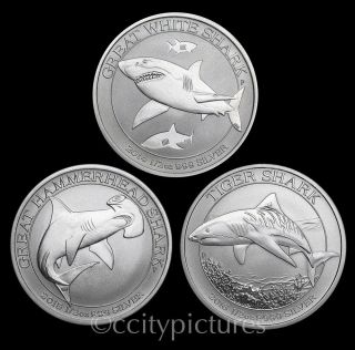 All (3) 1/2 Oz Silver Australian Shark Coins From Rolls 2014 2015 & 2016 2