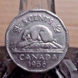 Circulated 1956 5 Cent Canadian Coin.  (90216)