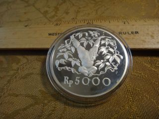 1974 Indonesia Silver 5000 Rp Orangutan Proof Coin - S&h Usa
