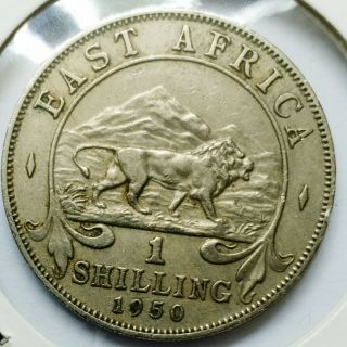 British Rhodesia East Africa 1 Shilling 1950 George Vi High Value Coin