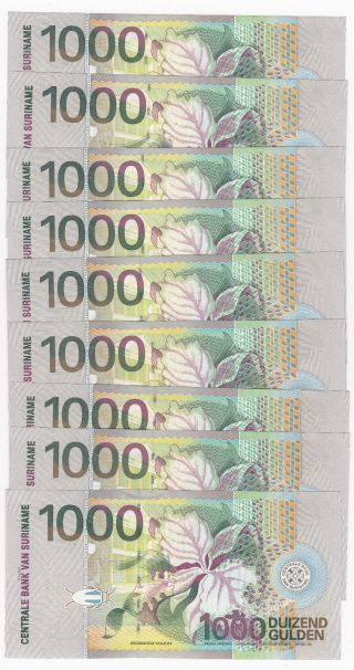 2000 Suriname 1000 Gulden,  P - 151,  Uncirculated - Bird & Flower 2