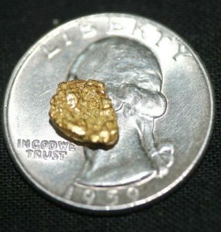 Gold Nugget, .  82 Grams,  Alaska Placer 1 4,  20.  5k To 22k Purity,  Bright,  Shiny