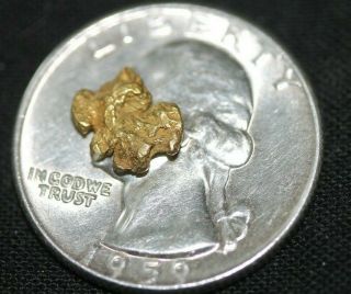 Gold Nugget, .  77 Grams,  Alaska Placer 1 4,  20.  5k To 22k Purity,  Bright,  Shiny