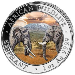 2020 Elephant African Wildlife 1 Oz Silver Color Coin Somalia