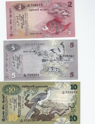 Ceylon Sri Lanka 2 - 5 - 10 Rupees 1979 3 Unc Gem Notes
